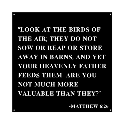 Matthew 6:26/14inch/blacK